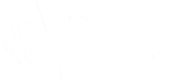 duik in taal vlaams talenplatform vlaamse overheid